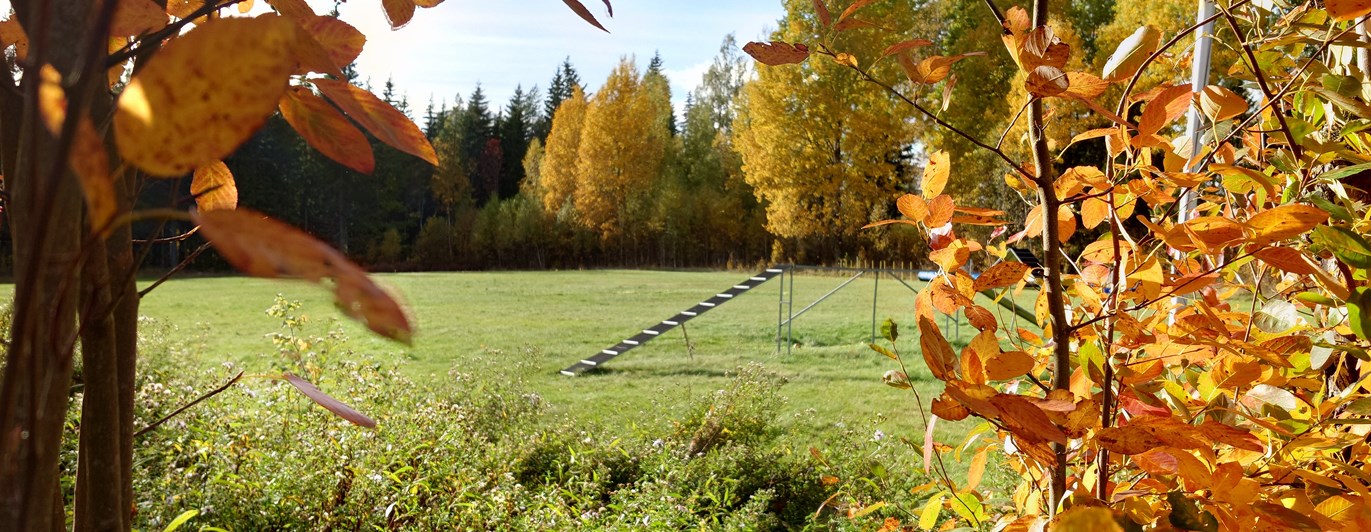Agility balansbom I höstfärger