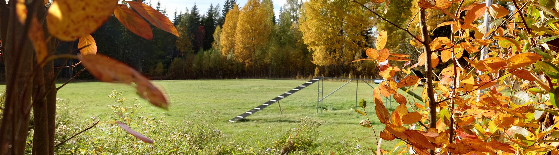 Agility balansbom I höstfärger