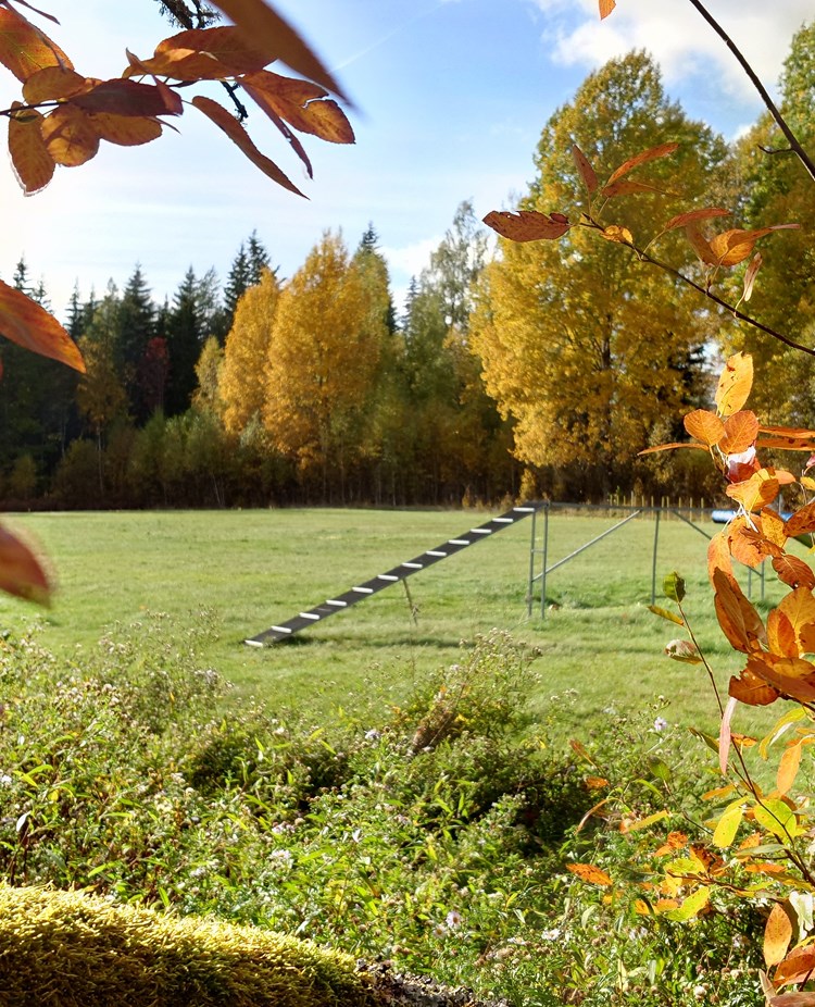 Agility balansbom I höstfärger