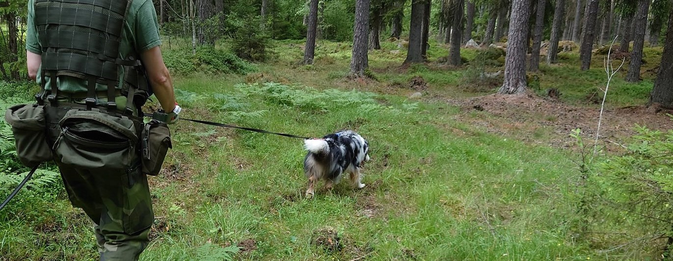 Patrullhund