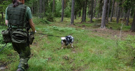 Patrullhund