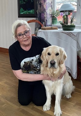 Golden Retriver sitter bredvid sin matte