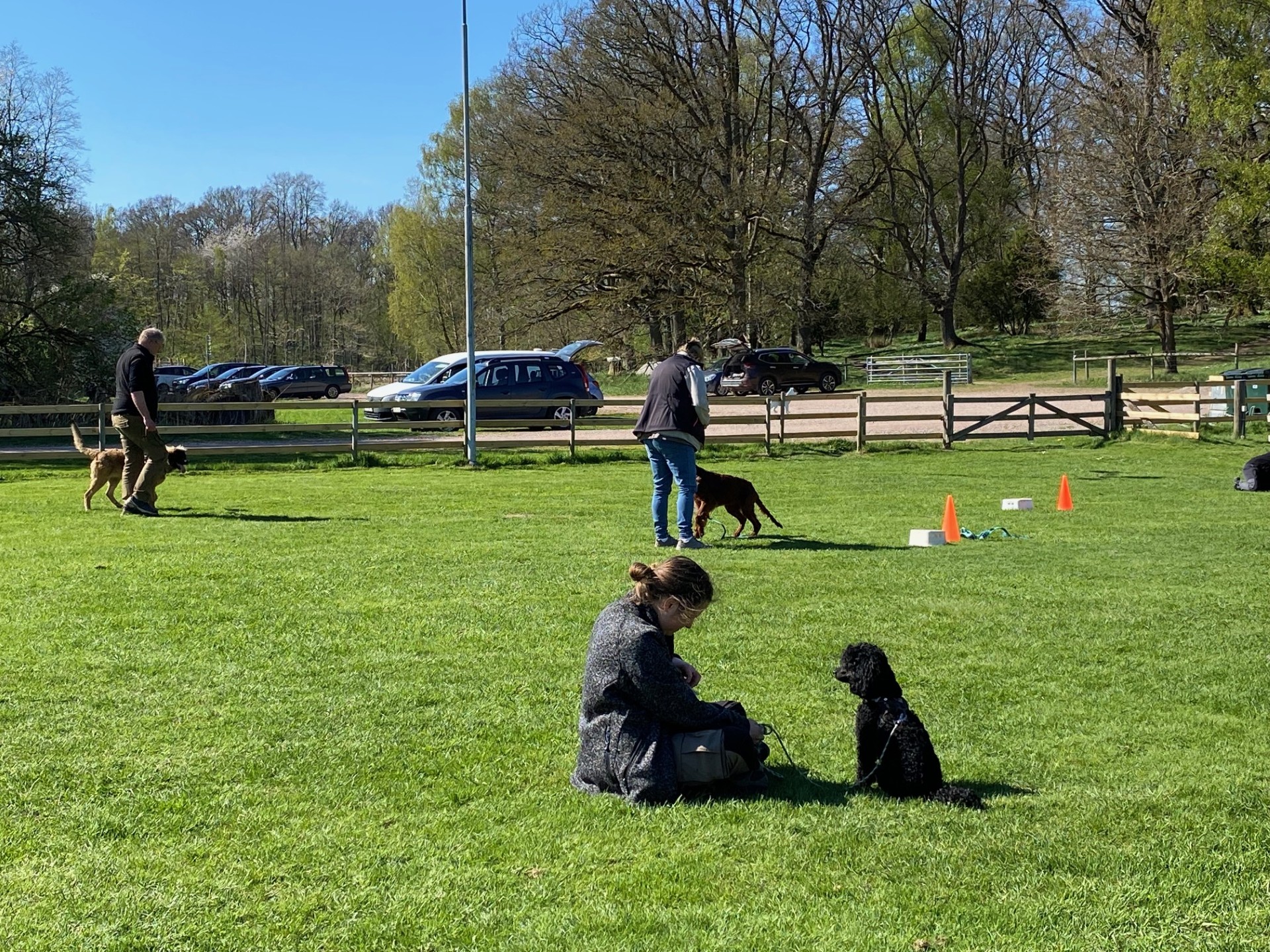 många träningsekipage på plan