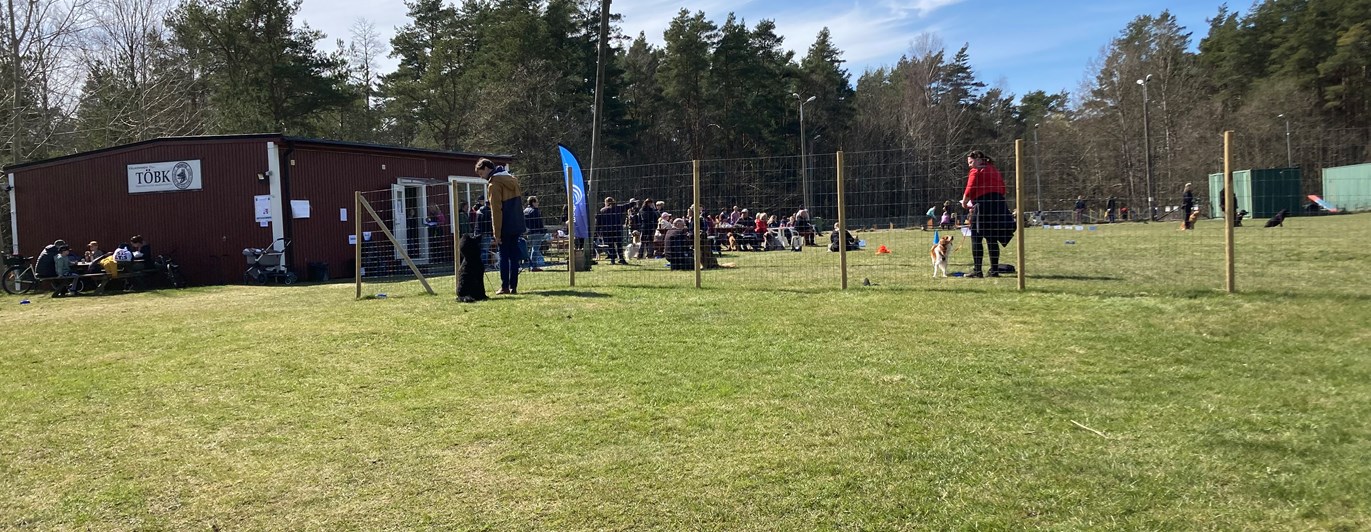 Röd klubbstuga med gräsplan framför. Många människor och hundar.