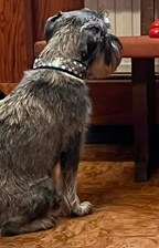 Specialsök - Distrikt