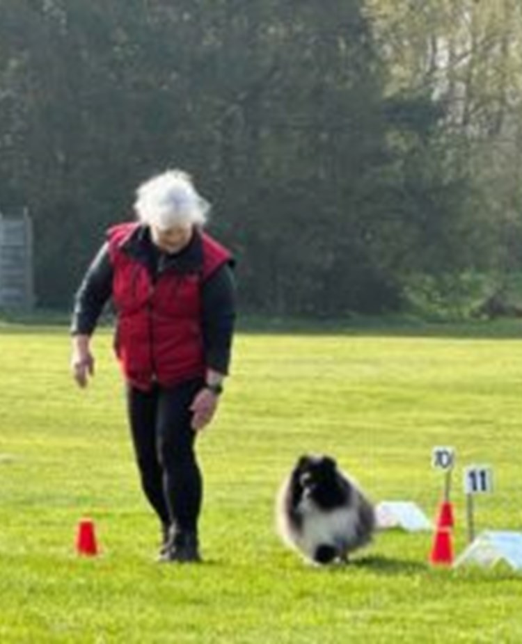 Ekipage i rallylydnad