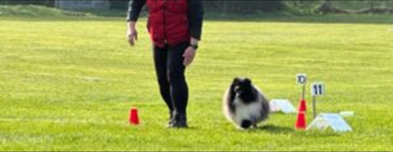 Ekipage i rallylydnad