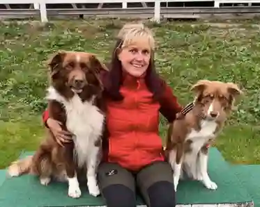 Människa med sina två hundar