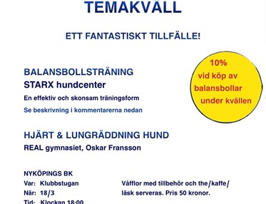 Temakväll