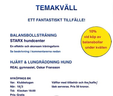 Temakväll