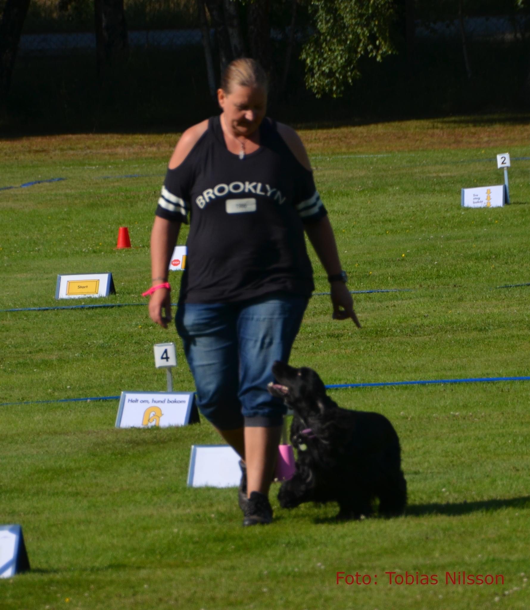 En kvinna som går och tittar på din hund. En svart engelsk cockerspaniel.