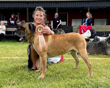 Vinnare i gruppen Veteran TBK:s utställning 6 juni 2022