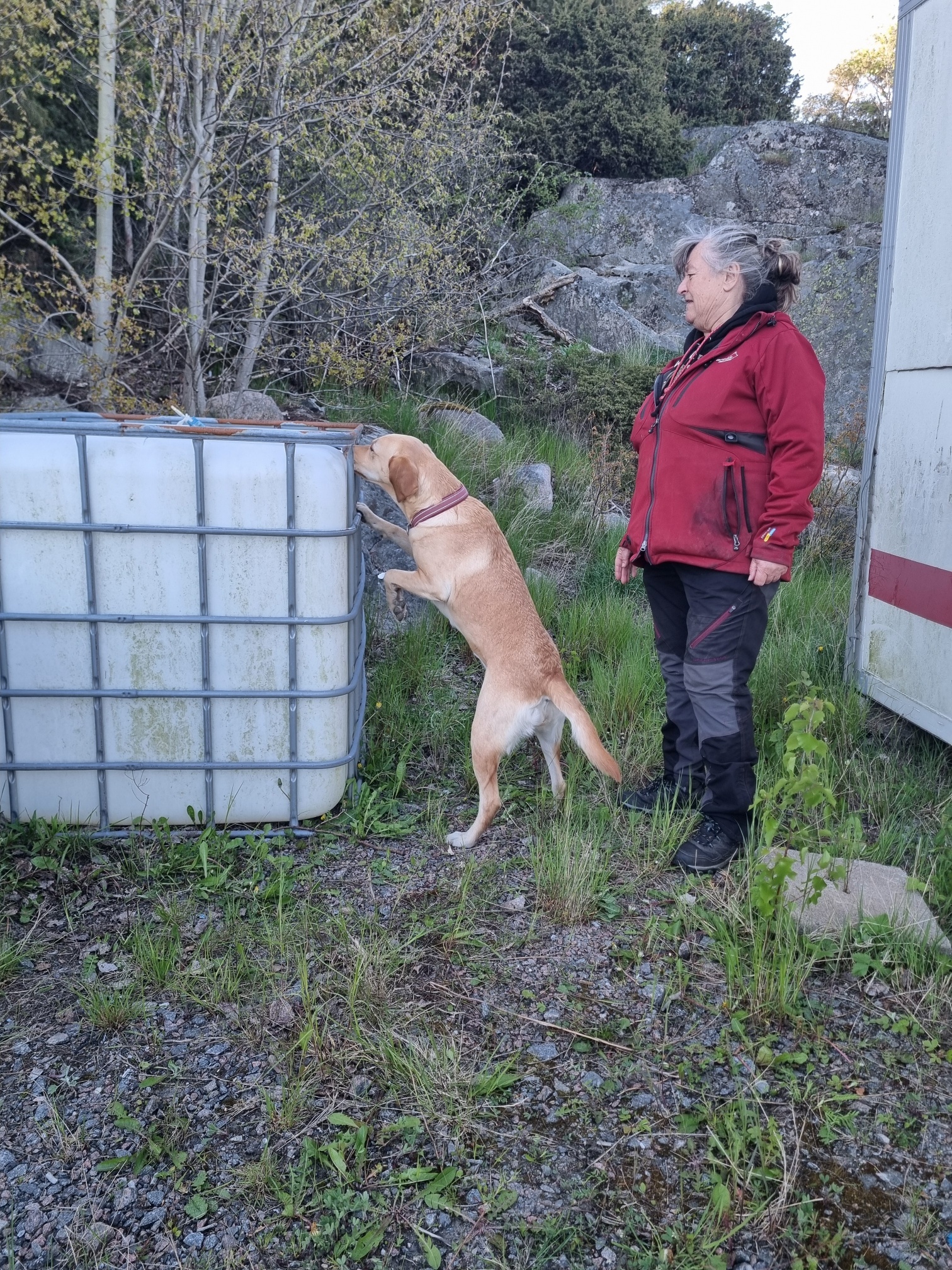 Torslanda-Öckerö Brukshundklubb nosarbete