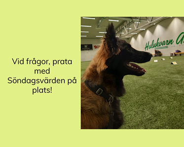 Tervueren i Hulukvarn