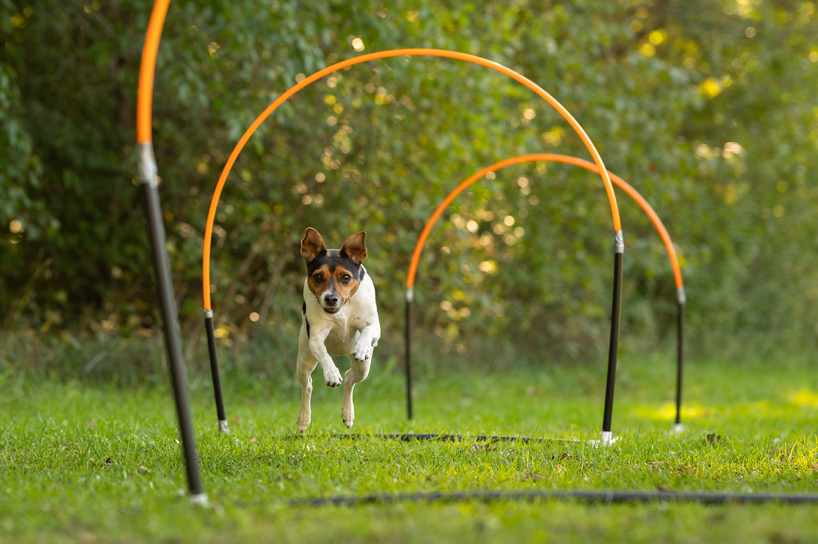 Hoopers bågar