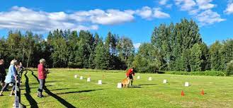 Bild på vårt klubbområde