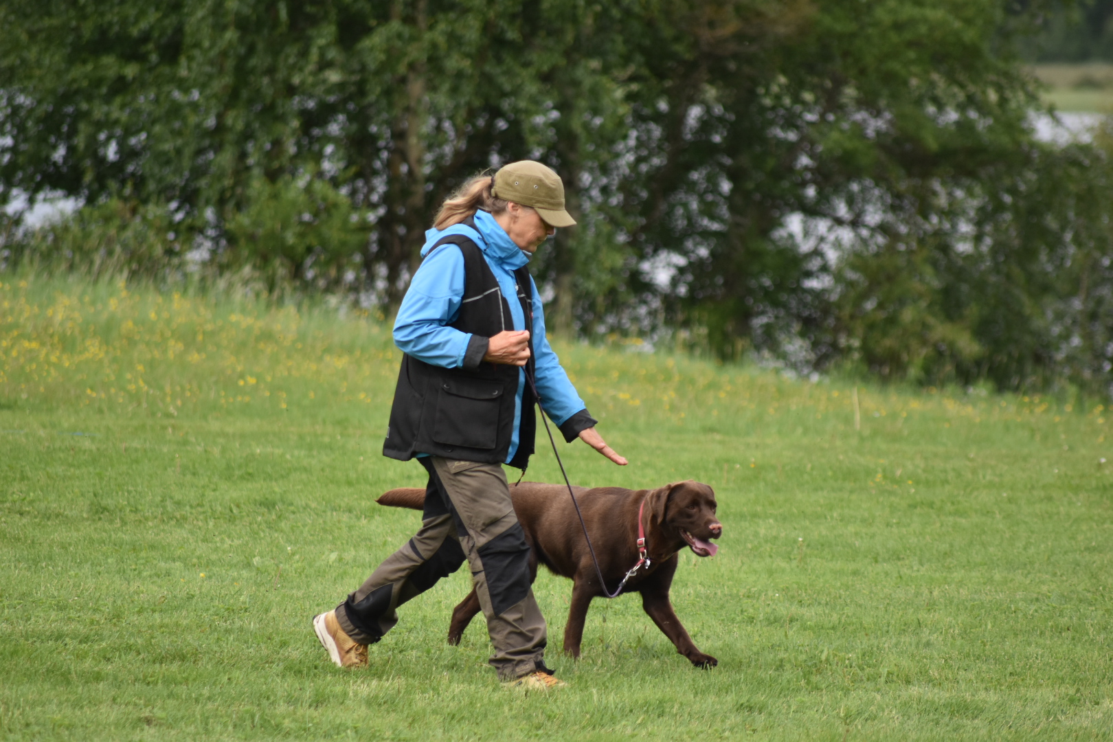 Lena och hunden Nora tävlar rallylydnad.