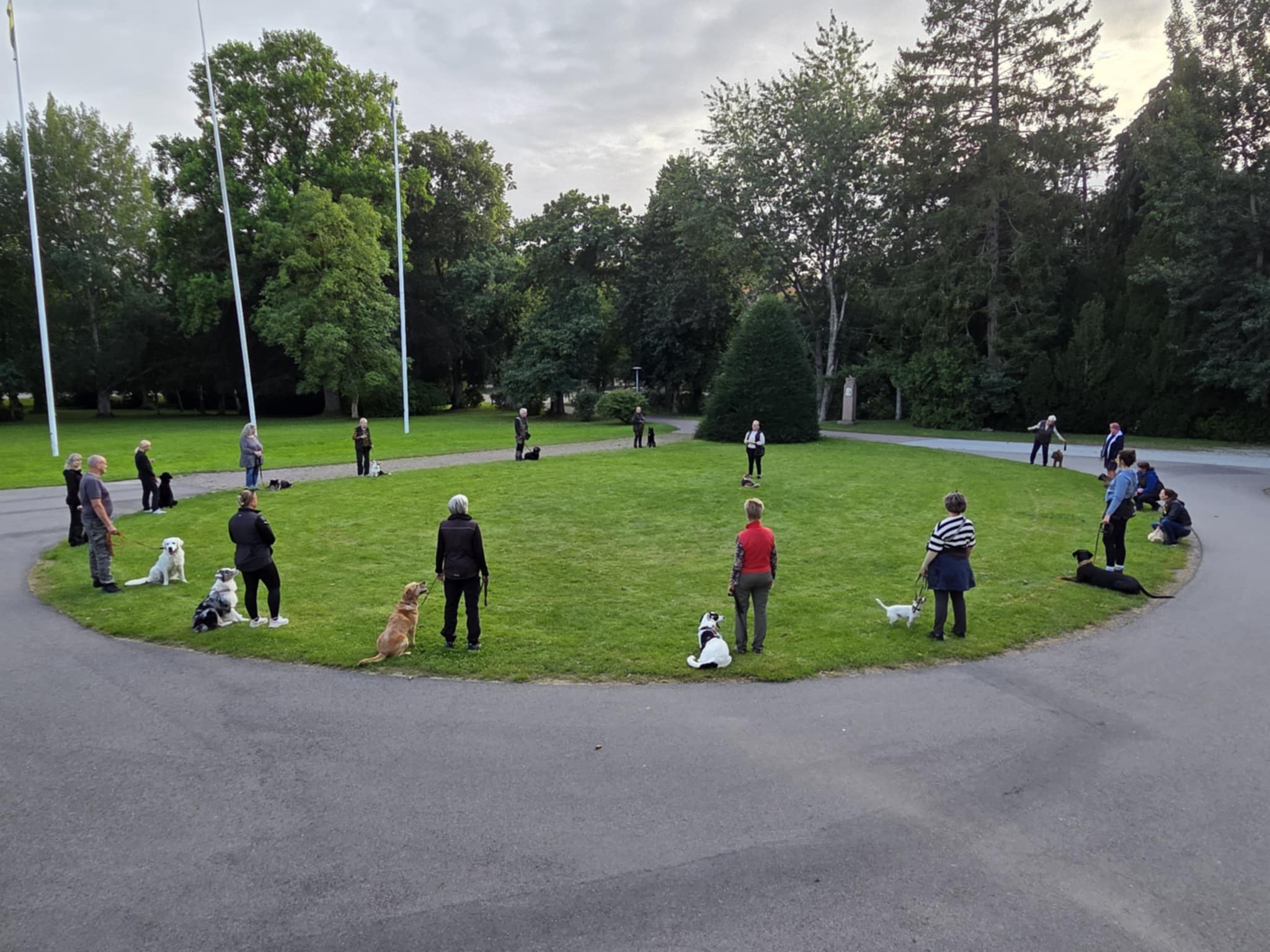 Hundträning i grupp. Flertal hundar sitter i en rund ring med en instruktör i mitten. 