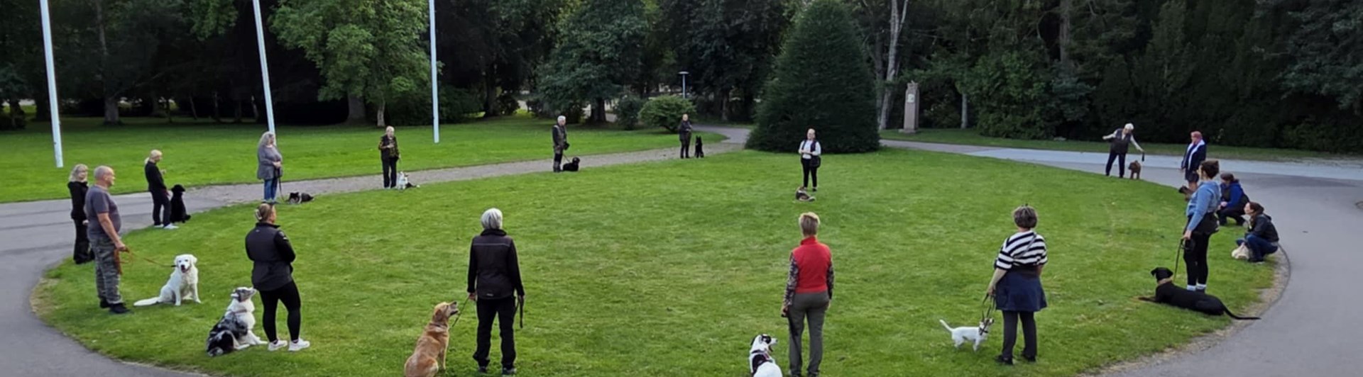 Hundträning i grupp. Flertal hundar sitter i en rund ring med en instruktör i mitten.