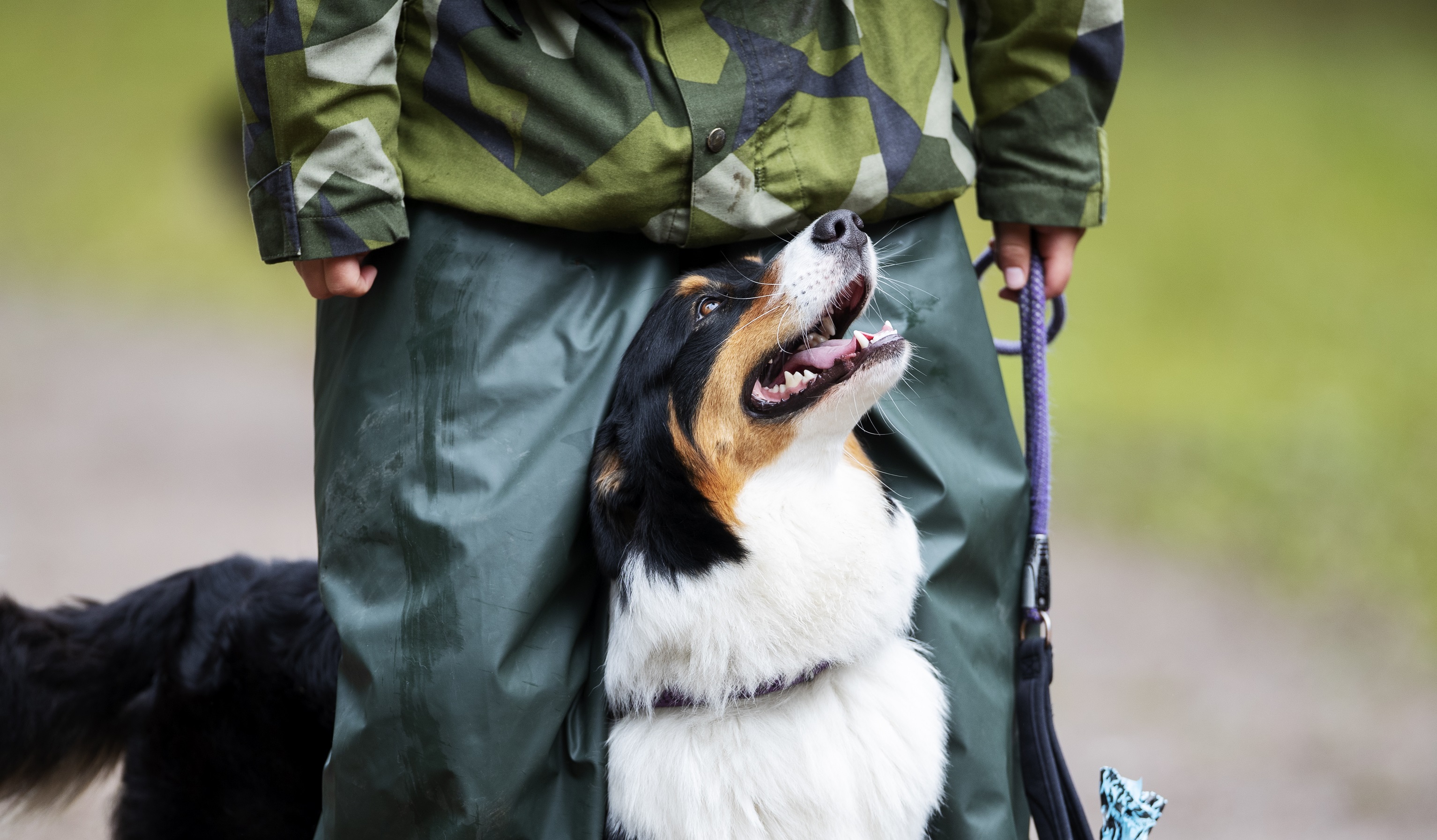 Fotograf: Nils-Petter Nilsson