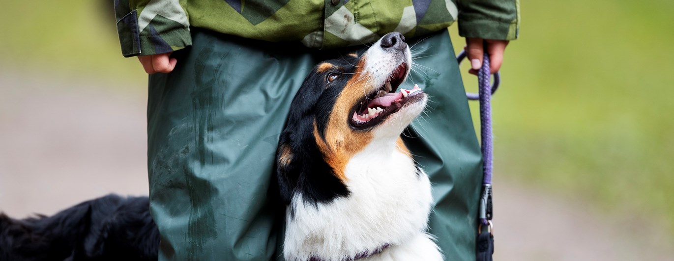 Fotograf: Nils-Petter Nilsson