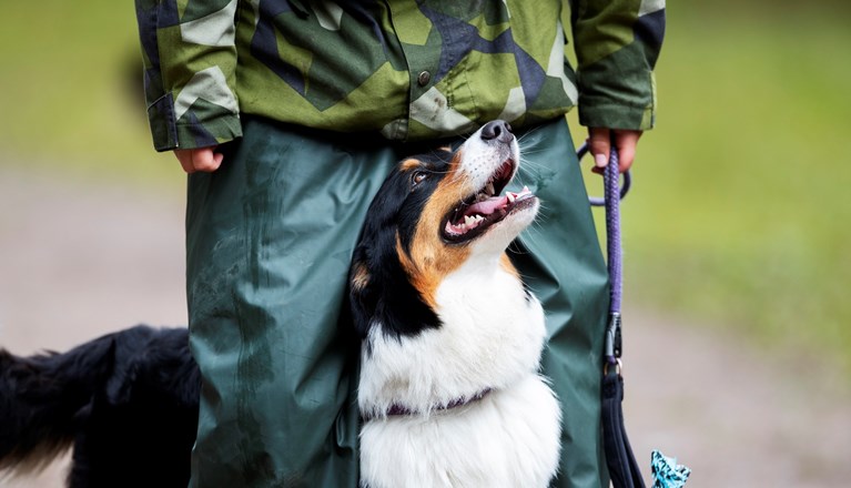 Fotograf: Nils-Petter Nilsson