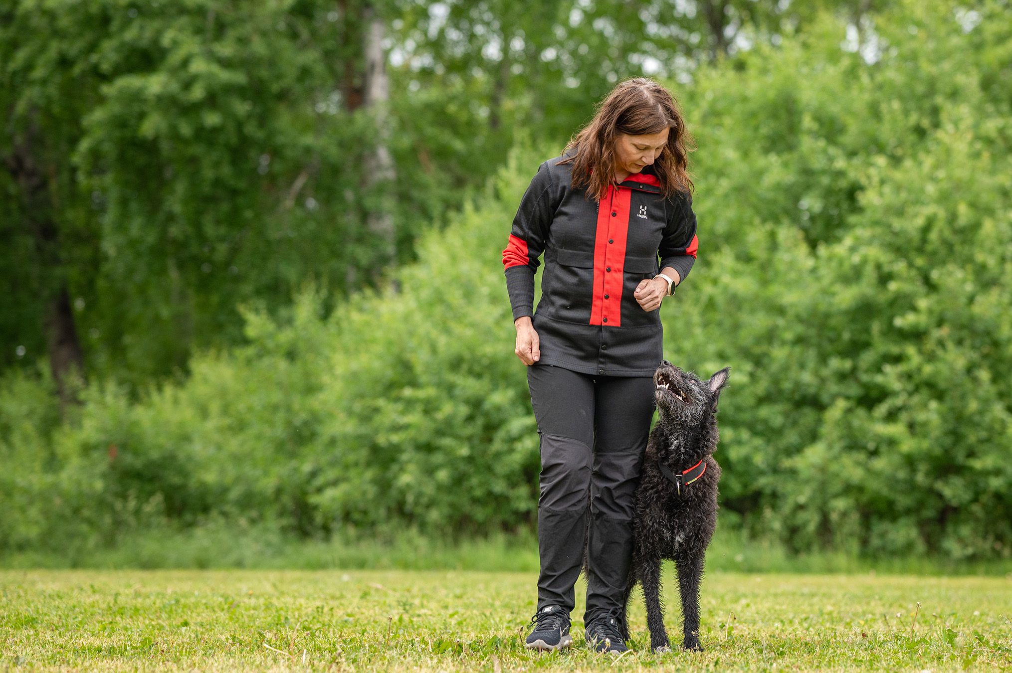 Myra går fritt följ