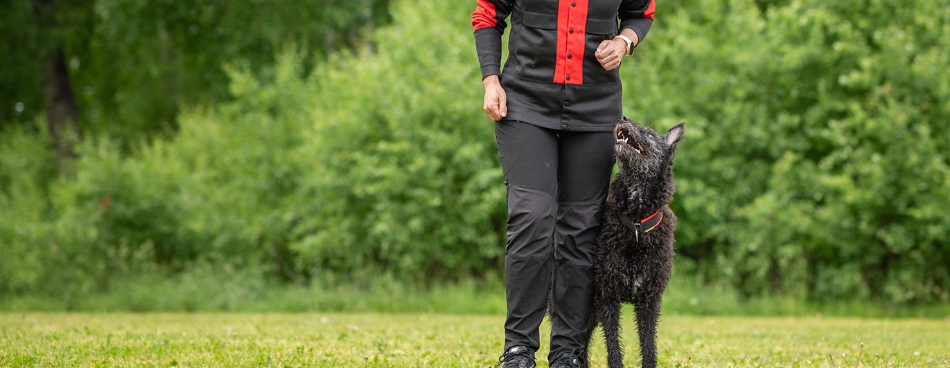 Myra går fritt följ