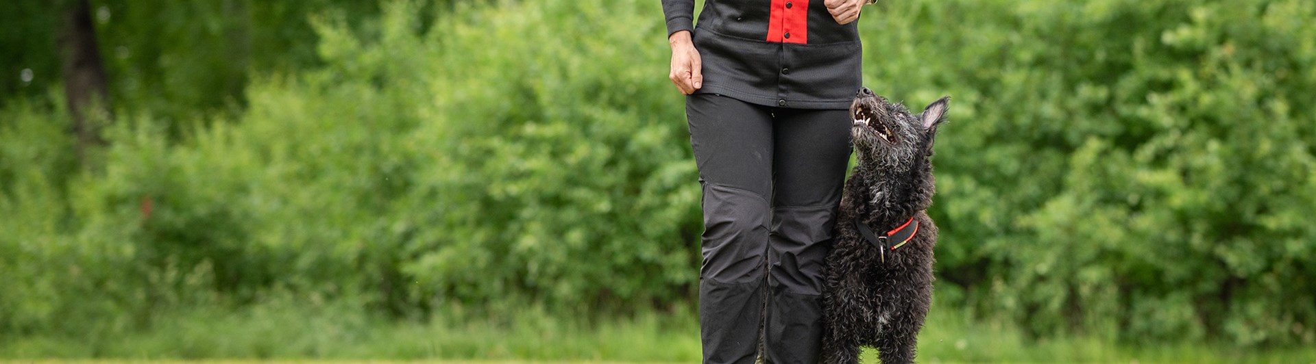 Myra går fritt följ