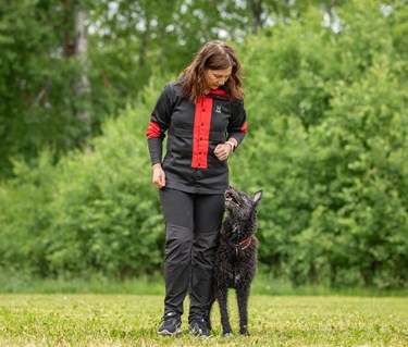 Myra går fritt följ