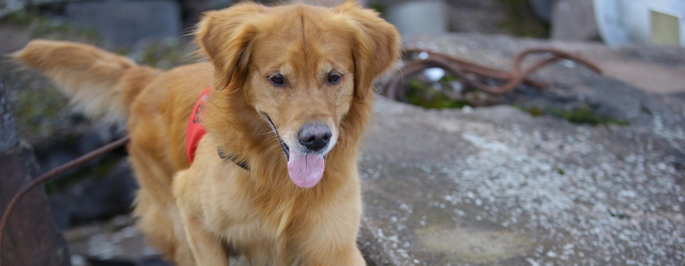 Fotograf: Christian Björses