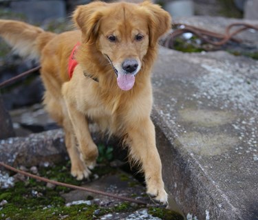 Fotograf: Christian Björses