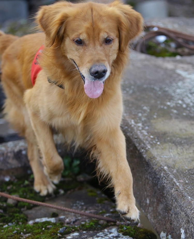 Fotograf: Christian Björses