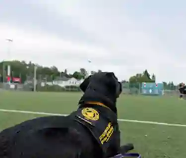 Barnet tränar fotboll medan assistanshunden ligger fint och väntar