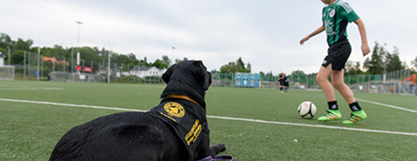 Barnet tränar fotboll medan assistanshunden ligger fint och väntar