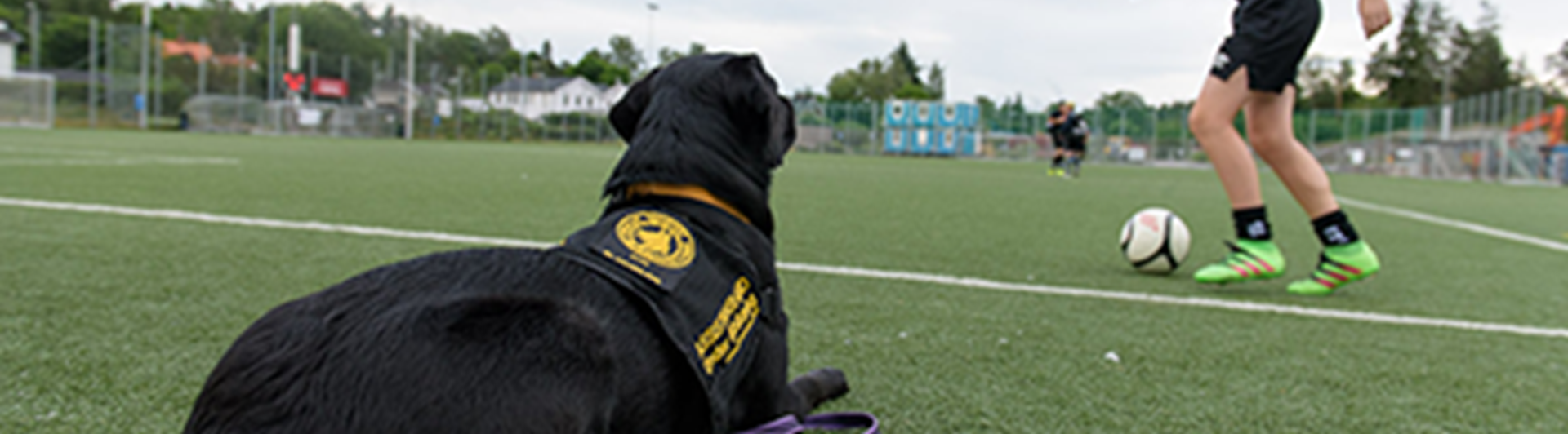 Barnet tränar fotboll medan assistanshunden ligger fint och väntar