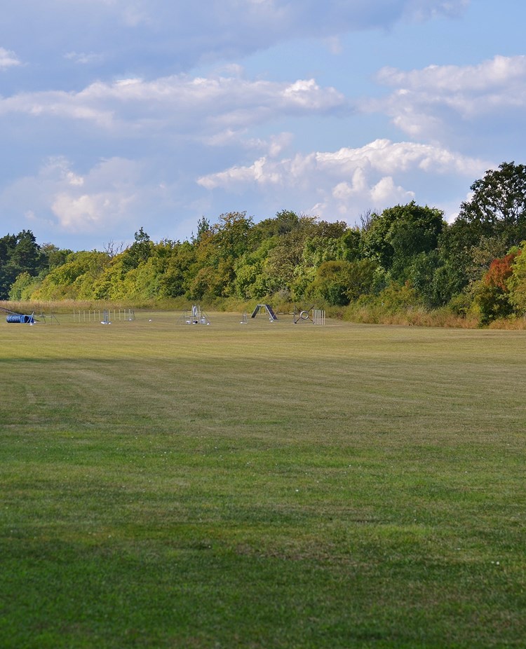 Appellplan med flaggstänger i förgrunden