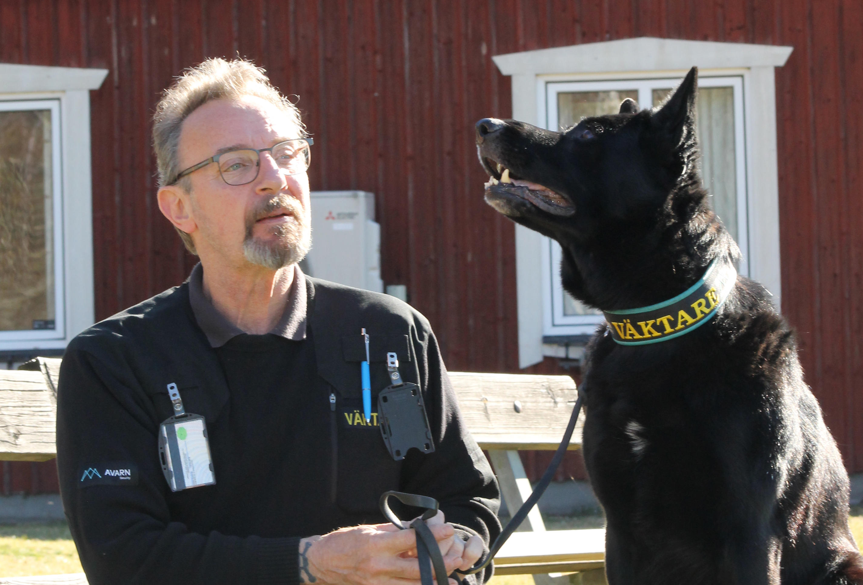 Bild på en schäfer tillsammans med sin husse. Hunden är väktarhund.