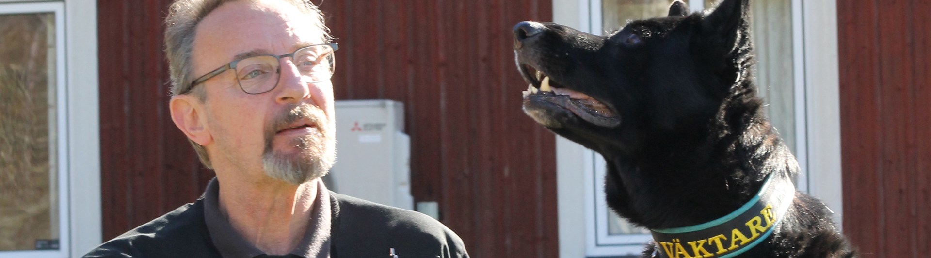 Bild på en schäfer tillsammans med sin husse. Hunden är väktarhund.
