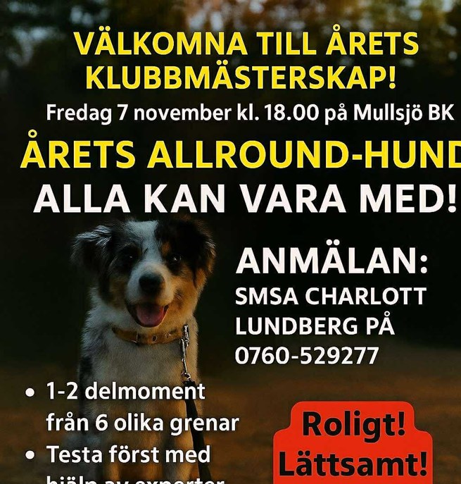 Affisch där det står information gällande Mullsjö brukshundklubbs mästerskap
