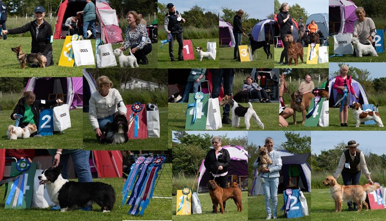 Bilder på finalister och vinnare Utställning Trelleborgs Brukshundklubb 2025