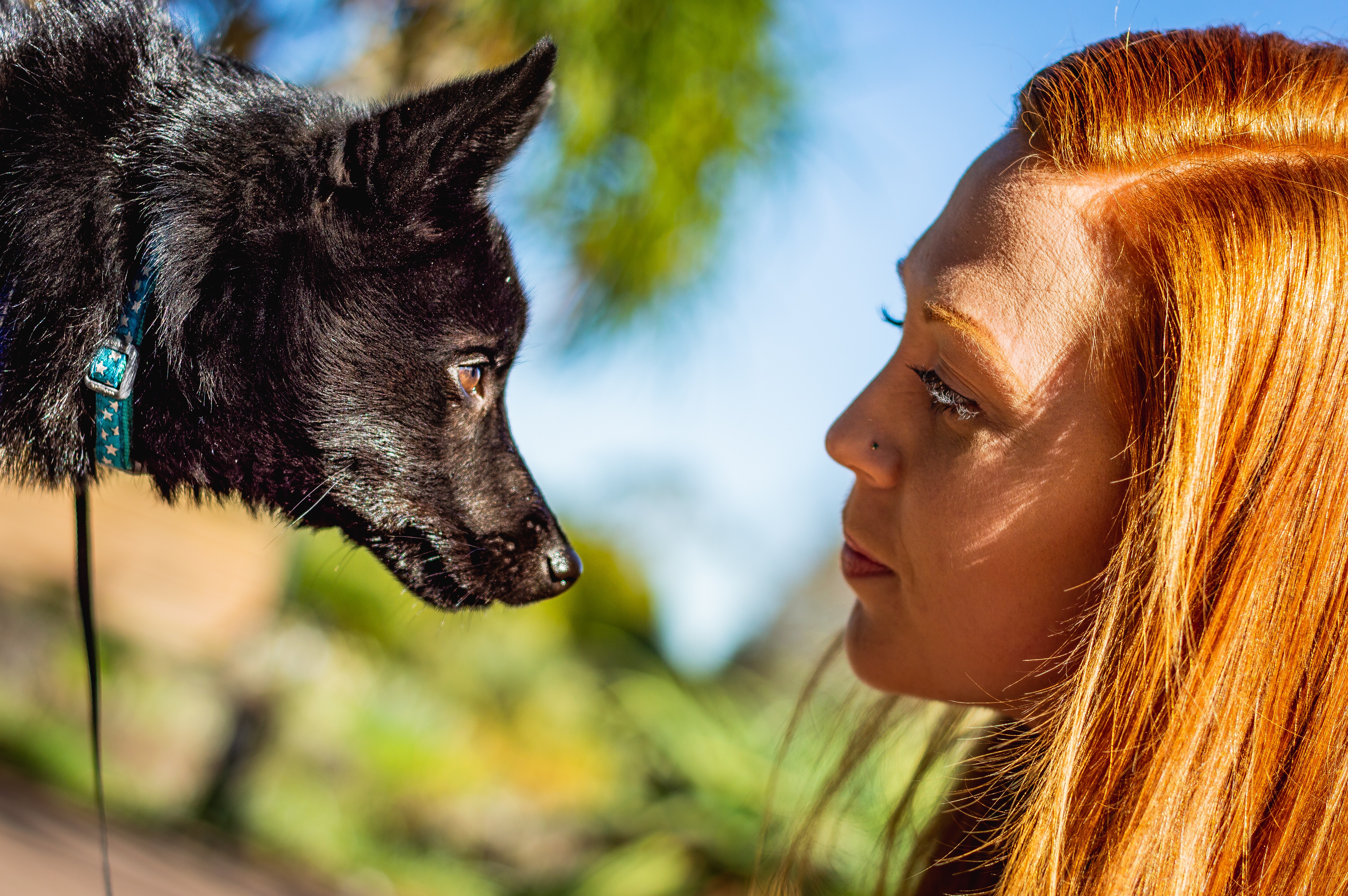 Ansiktsbild på hund och förare i samförstånd med blå himmel som bakgrund