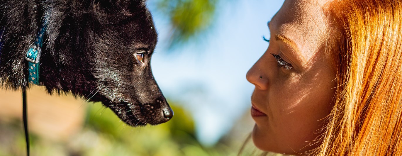 Ansiktsbild på hund och förare i samförstånd med blå himmel som bakgrund
