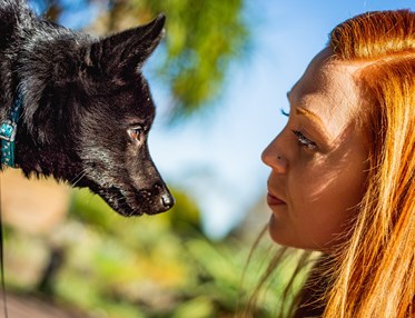 Ansiktsbild på hund och förare i samförstånd med blå himmel som bakgrund
