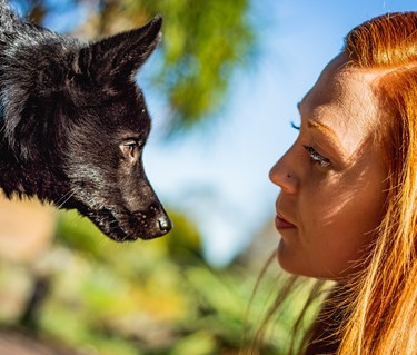 Ansiktsbild på hund och förare i samförstånd med blå himmel som bakgrund