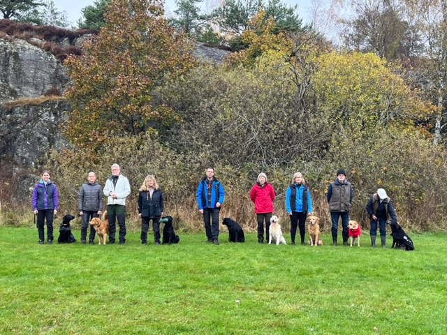 En grupp hundförare med sin hundar som tränat.