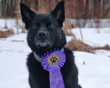 Max - Agility 2024-03-23