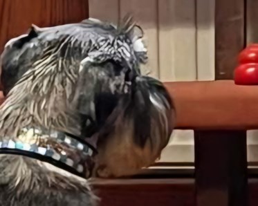 Markering specialsök