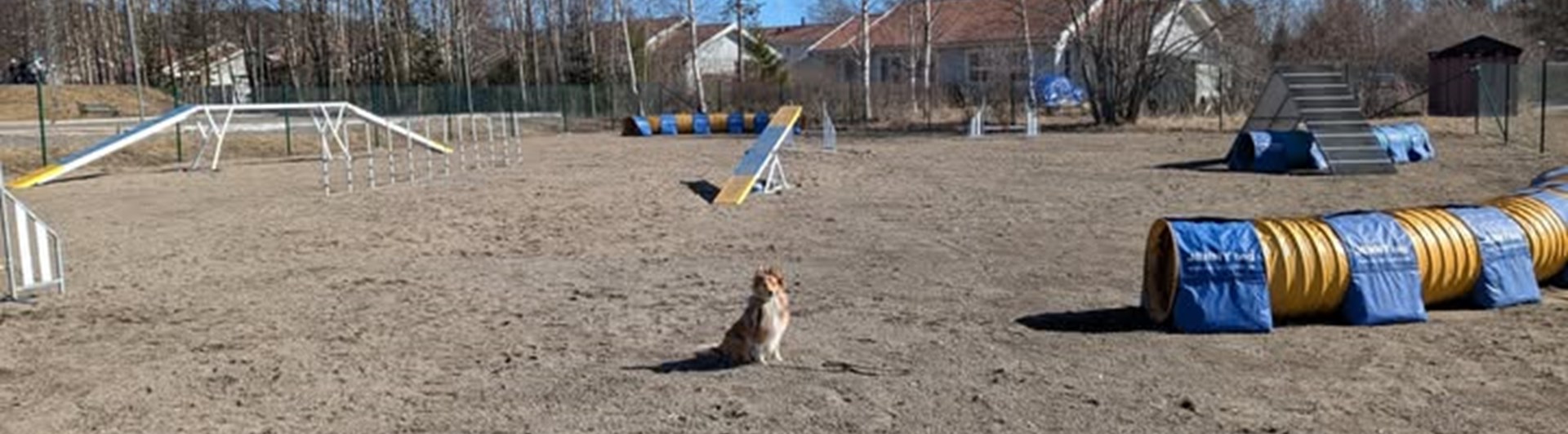 Agilityplanen i Brunflo
