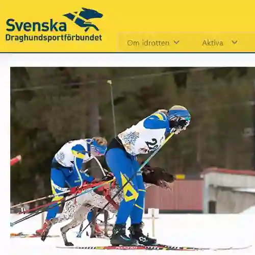Svenska Draghundsportförbundet Logga